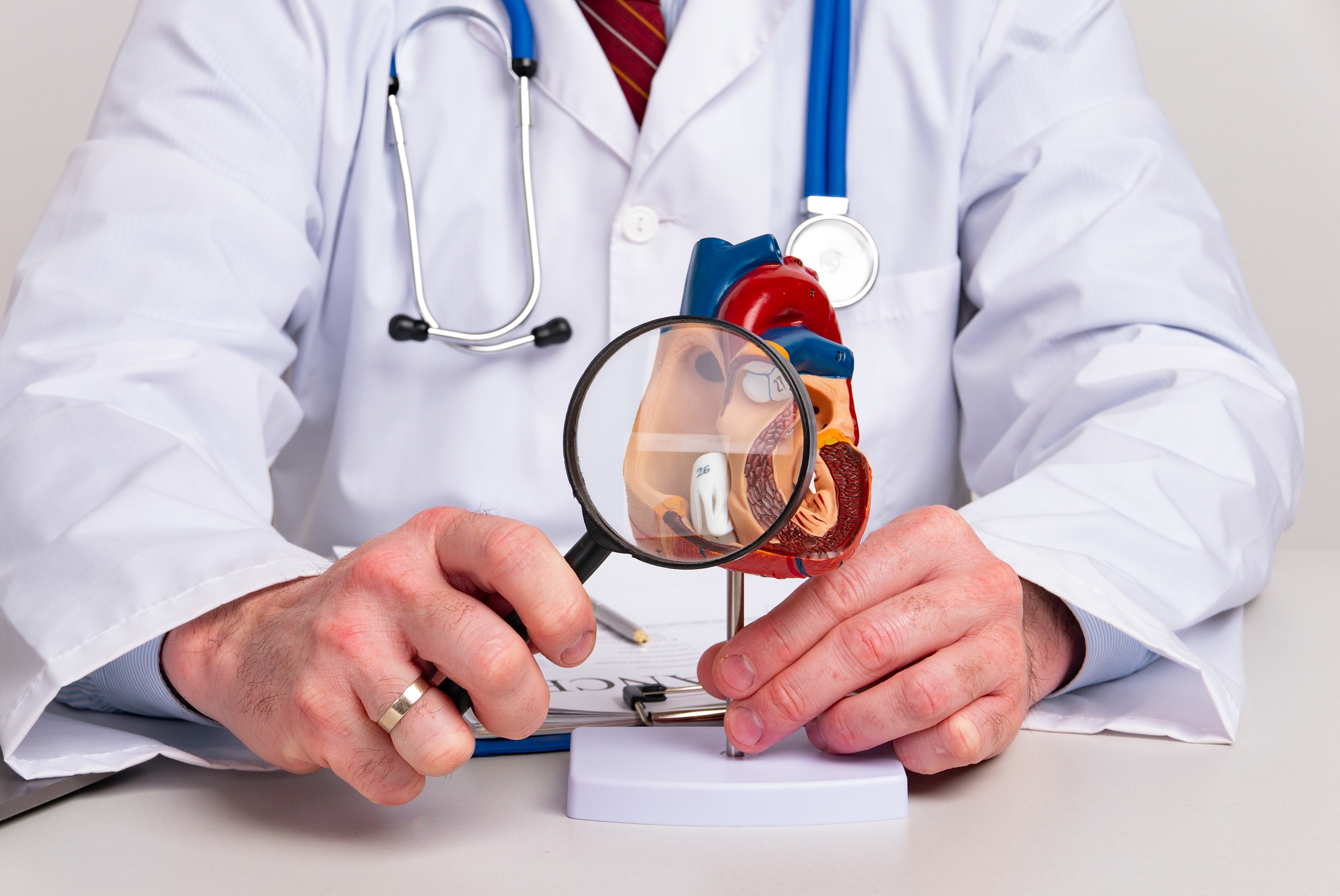 Organ Treatment
